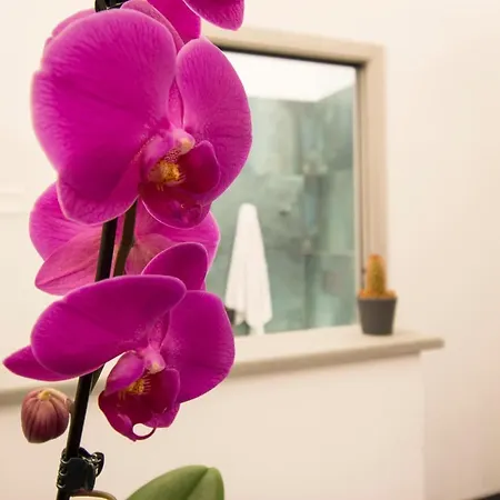 Lorenzo Luxury Apartament